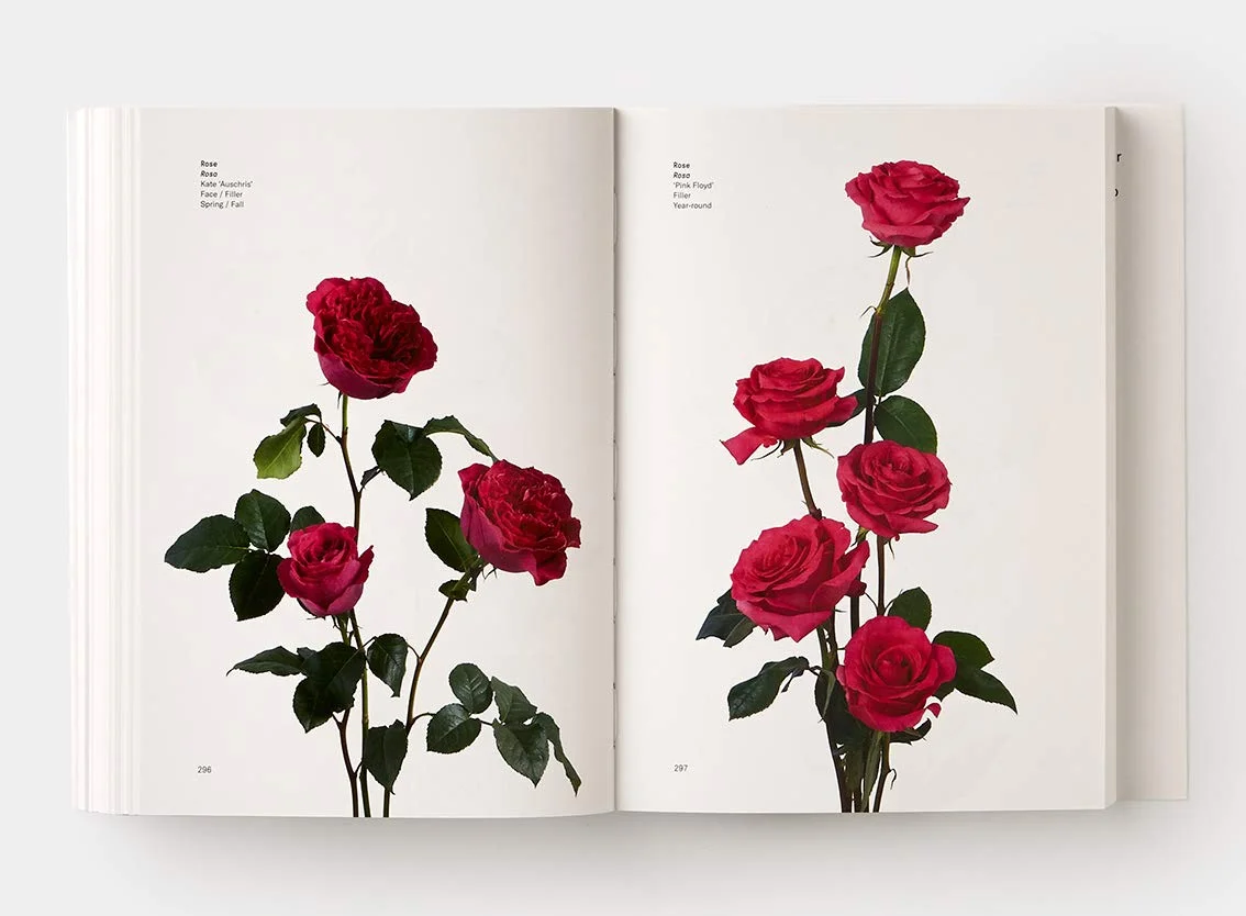 Flower Color Guide | Darroch Putnam, Michael Putnam
