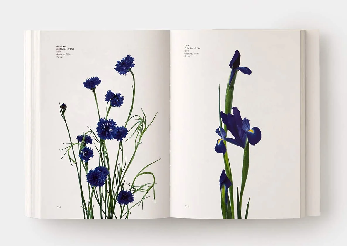 Flower Color Guide | Darroch Putnam, Michael Putnam