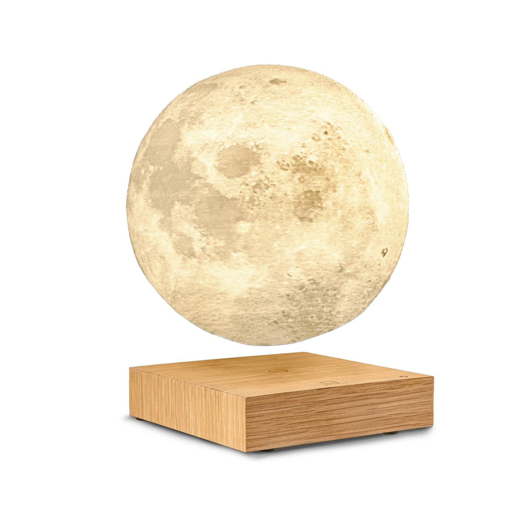 Coöperatie linnen afgunst Moon Lamp in White Ash from Gingko