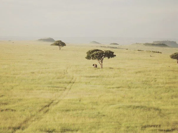 image-asset (7).jpeg