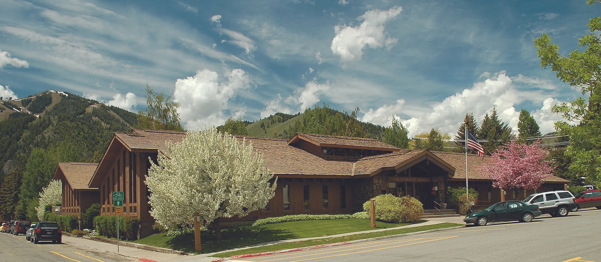 community library.jpg