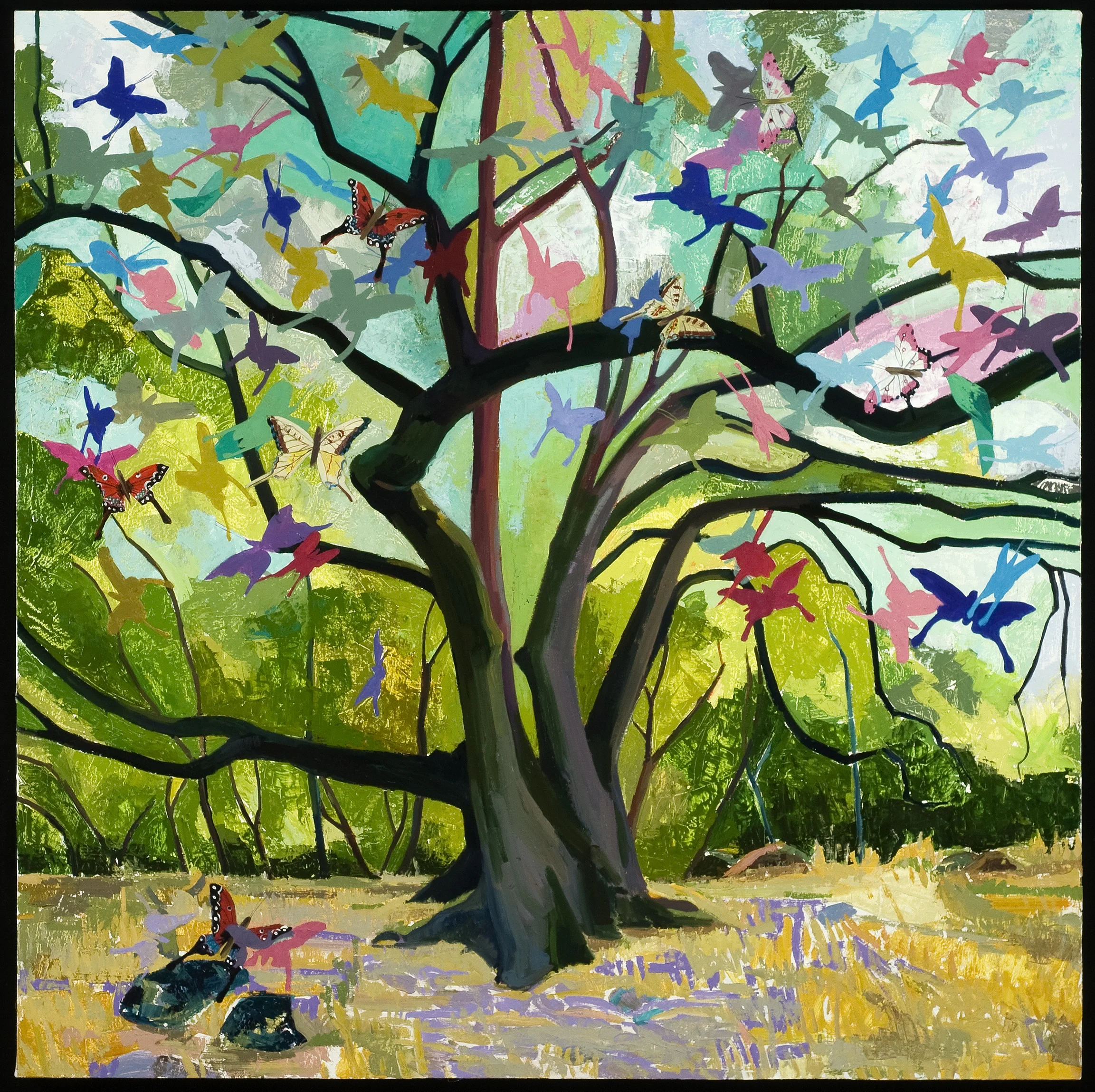 Enchanted Forest