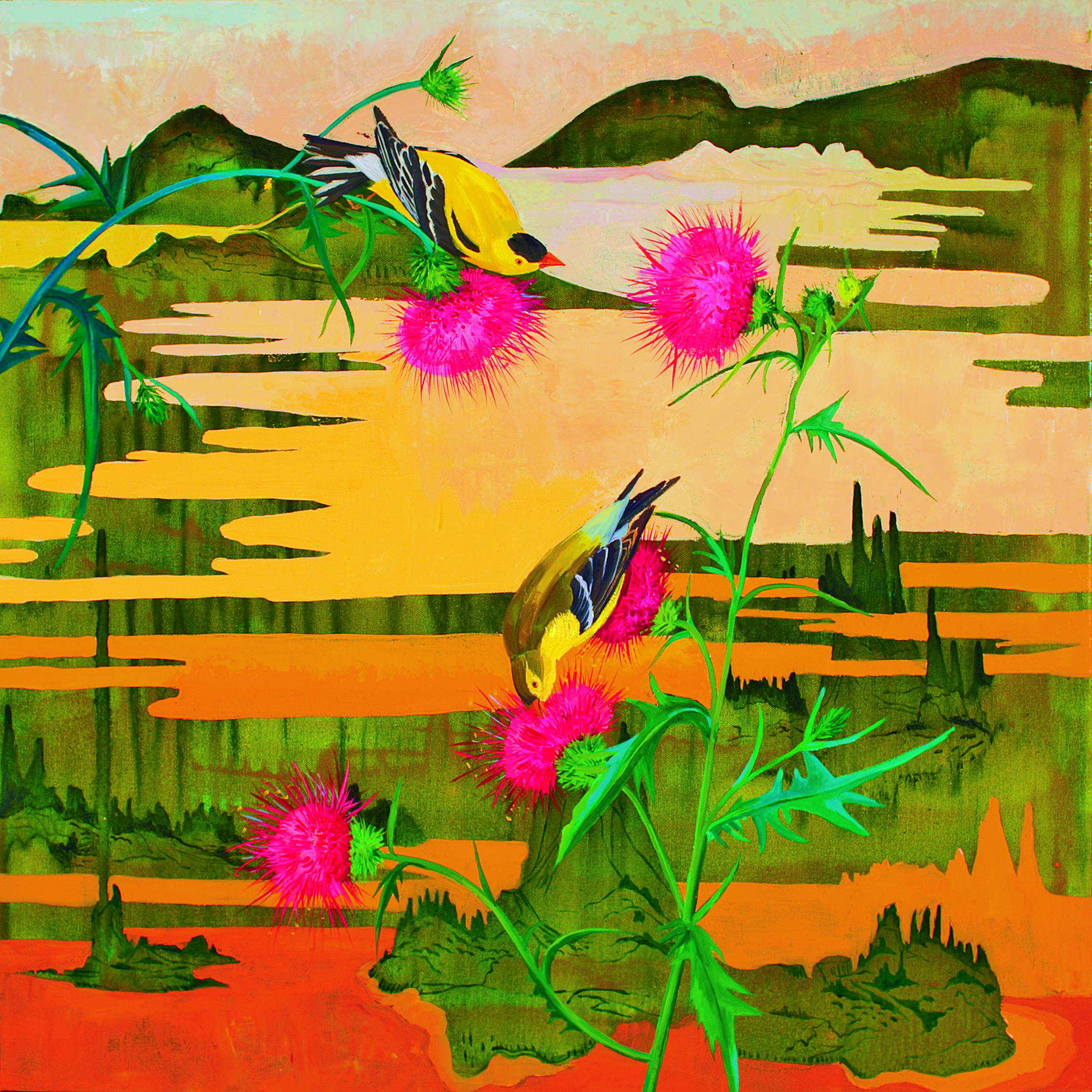 Yellow Finch