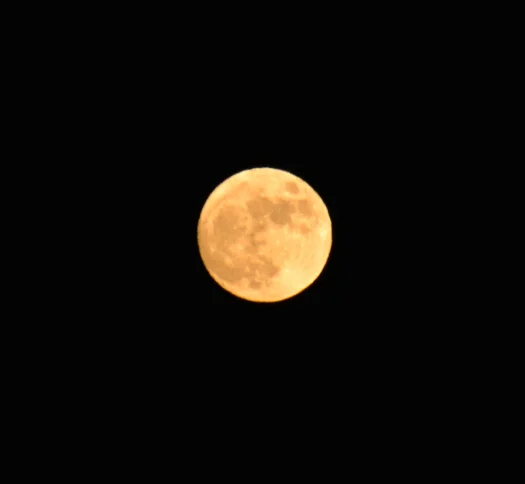 dsc_0058_2.jpg