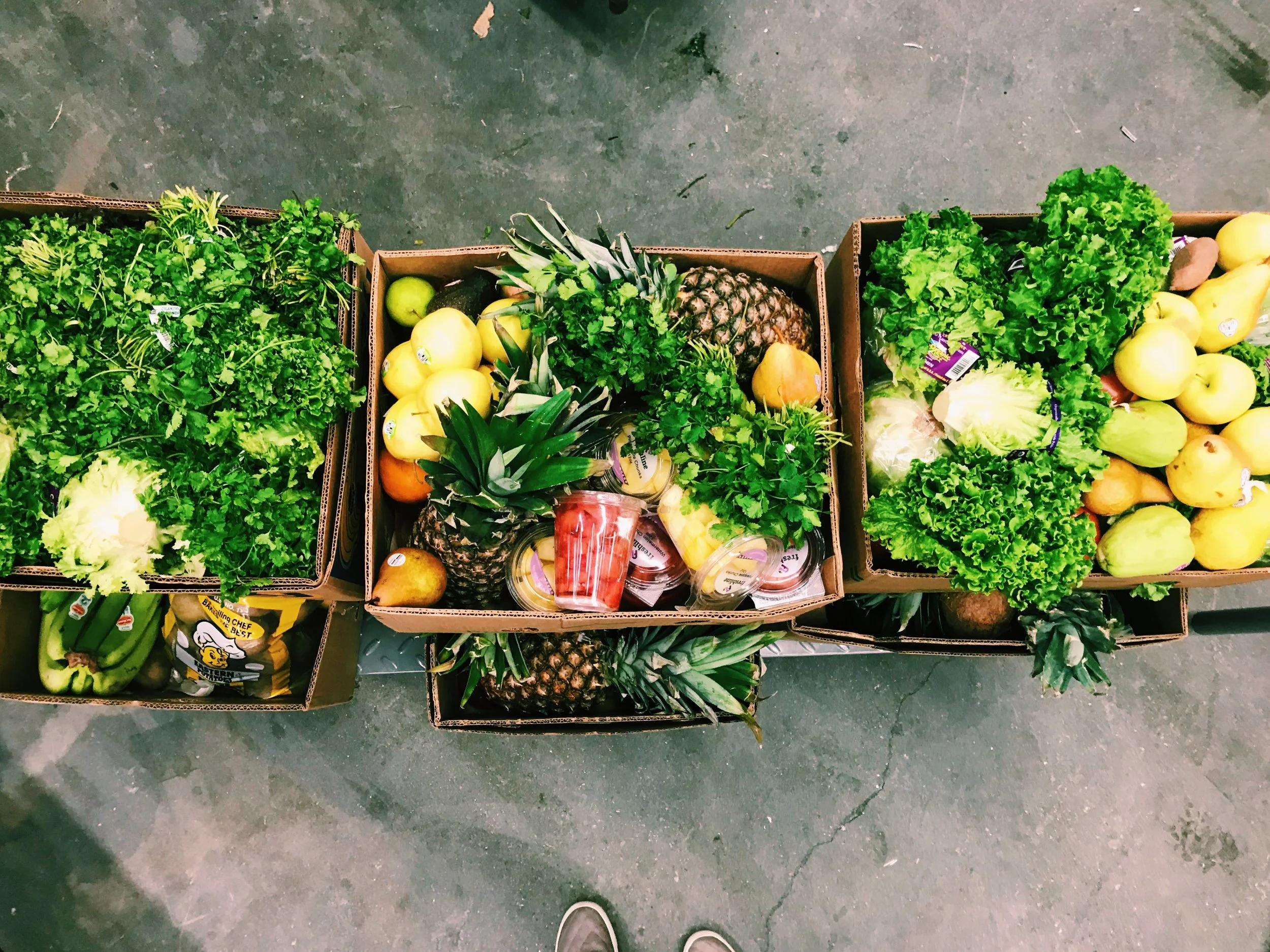 Utah State Blue Goes Green