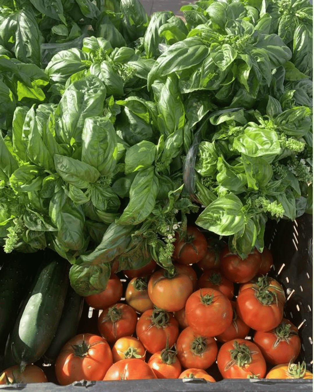 In the News: Inside Higher Ed “Food Recovery Fuels Student Success”