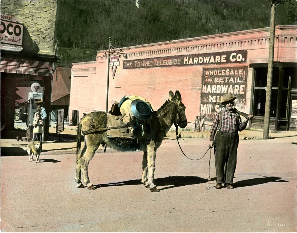 Tomkins Cristy Hardware Building with Donkey.jpg