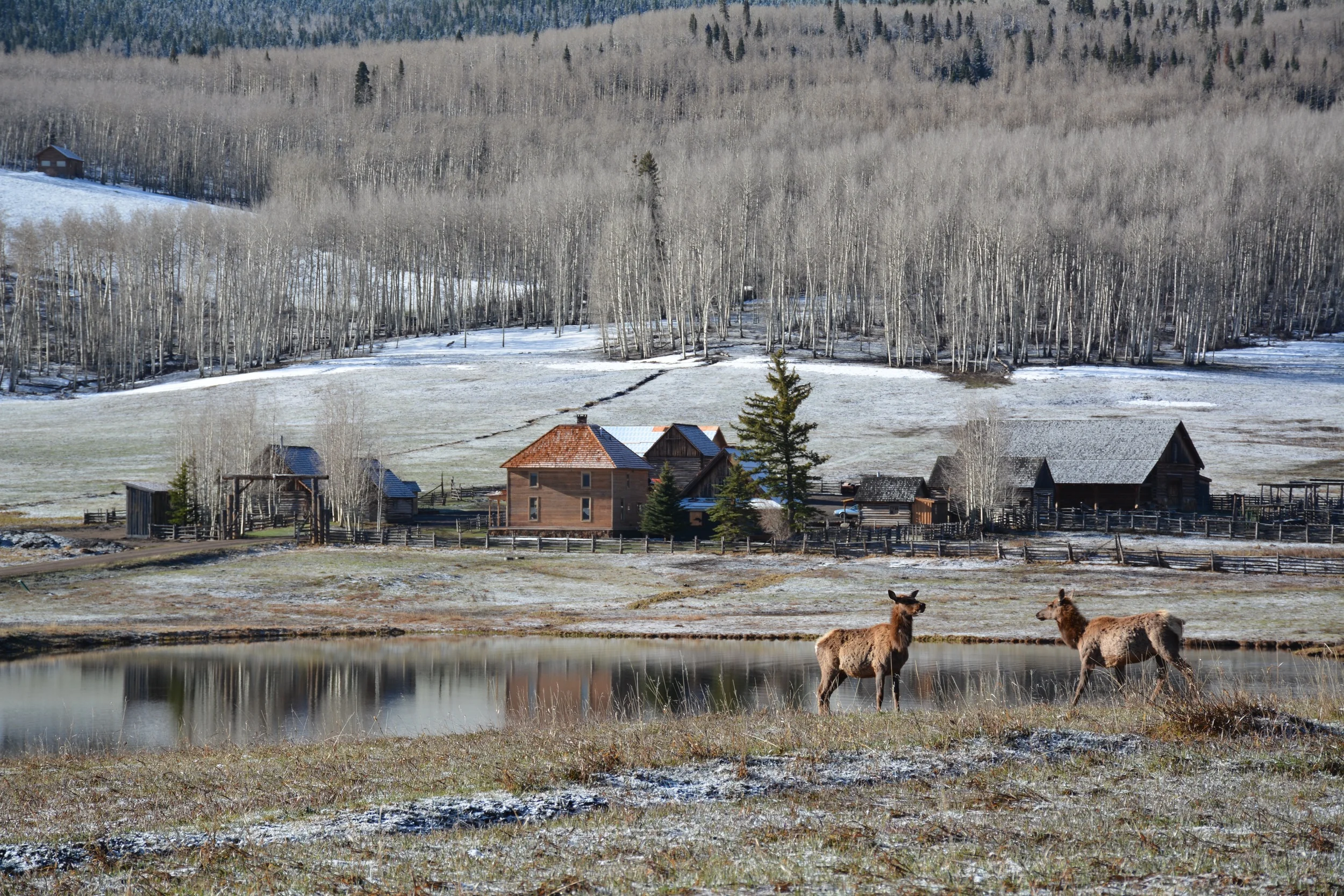 DSC_0085.jpg