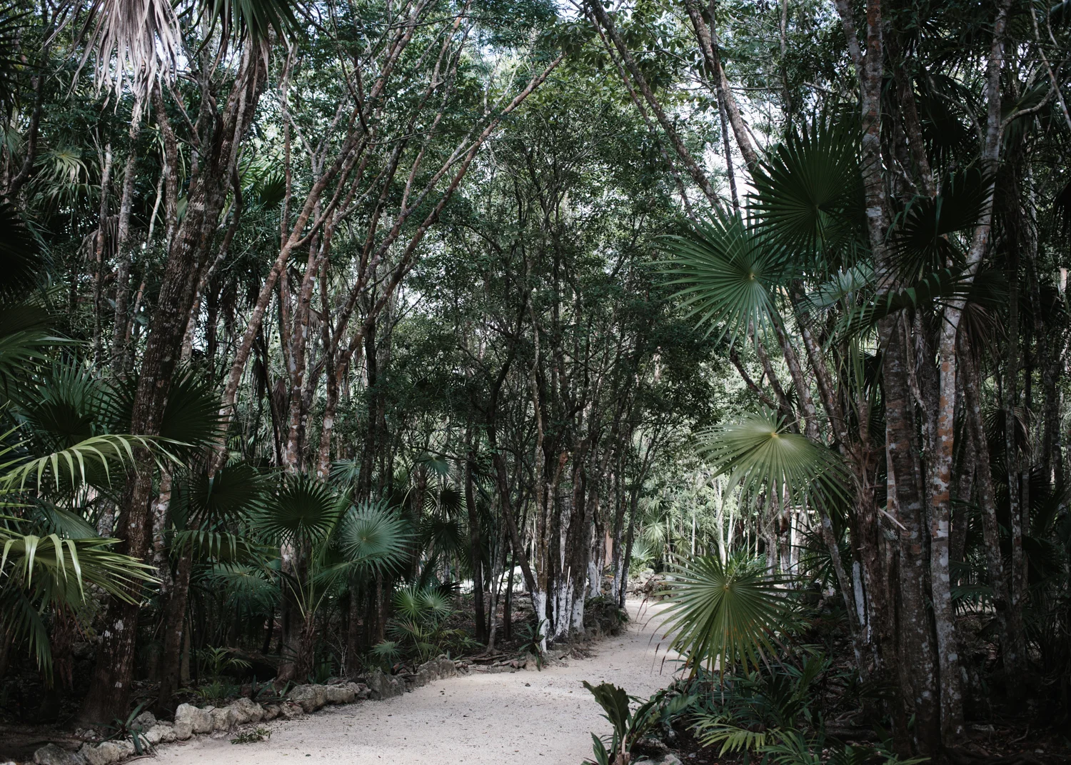 Travel_web_014.jpg
