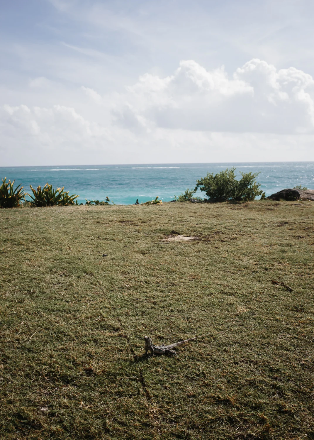 Travel_web_017.jpg
