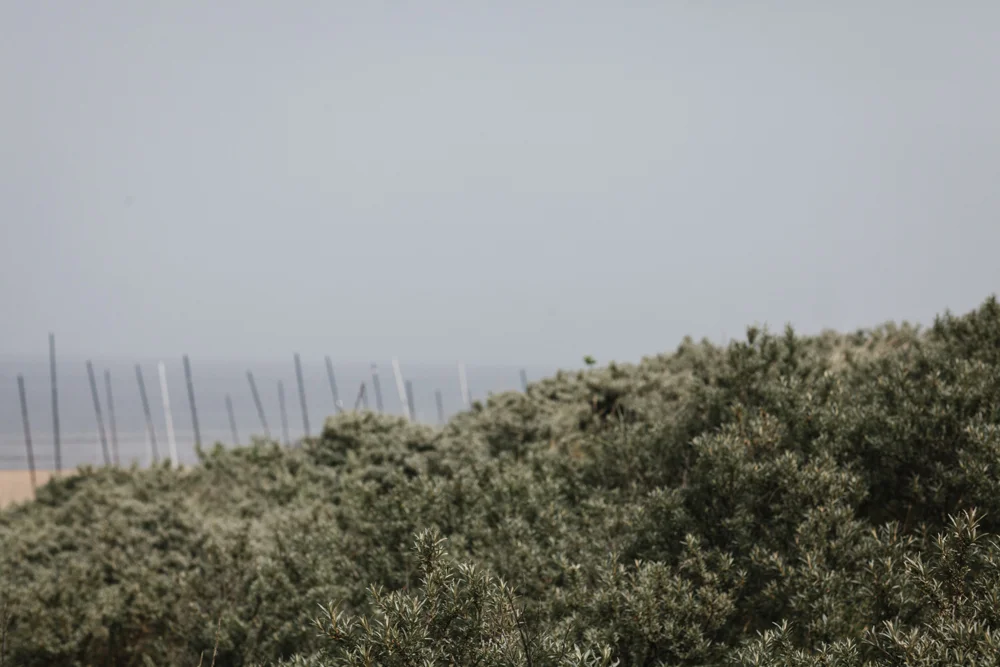 Kiesendahl_Hochzeitsfotografie_Strand_Scheveningen_033.jpg