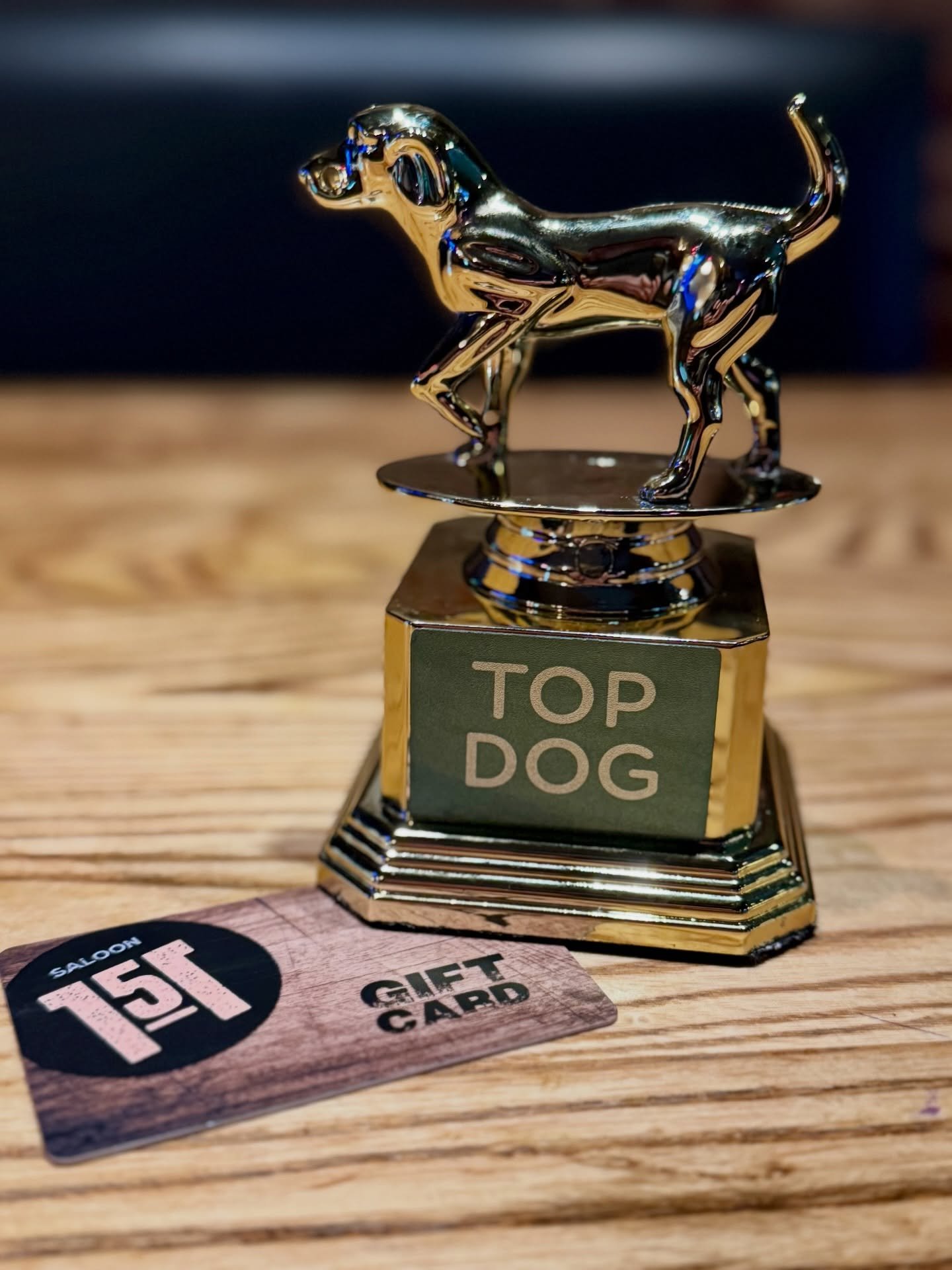🐕🏆 TOP DOGS of the month! Top Teams at Trivia 🐶 Win a game of Quizzo to hold the trophy every Tuesday night! Formerly was the GOAT trophy but that was taken &amp; never returned 😢 But we had a lot of repeat TOP DOGS this month! Hosted by @djromeo