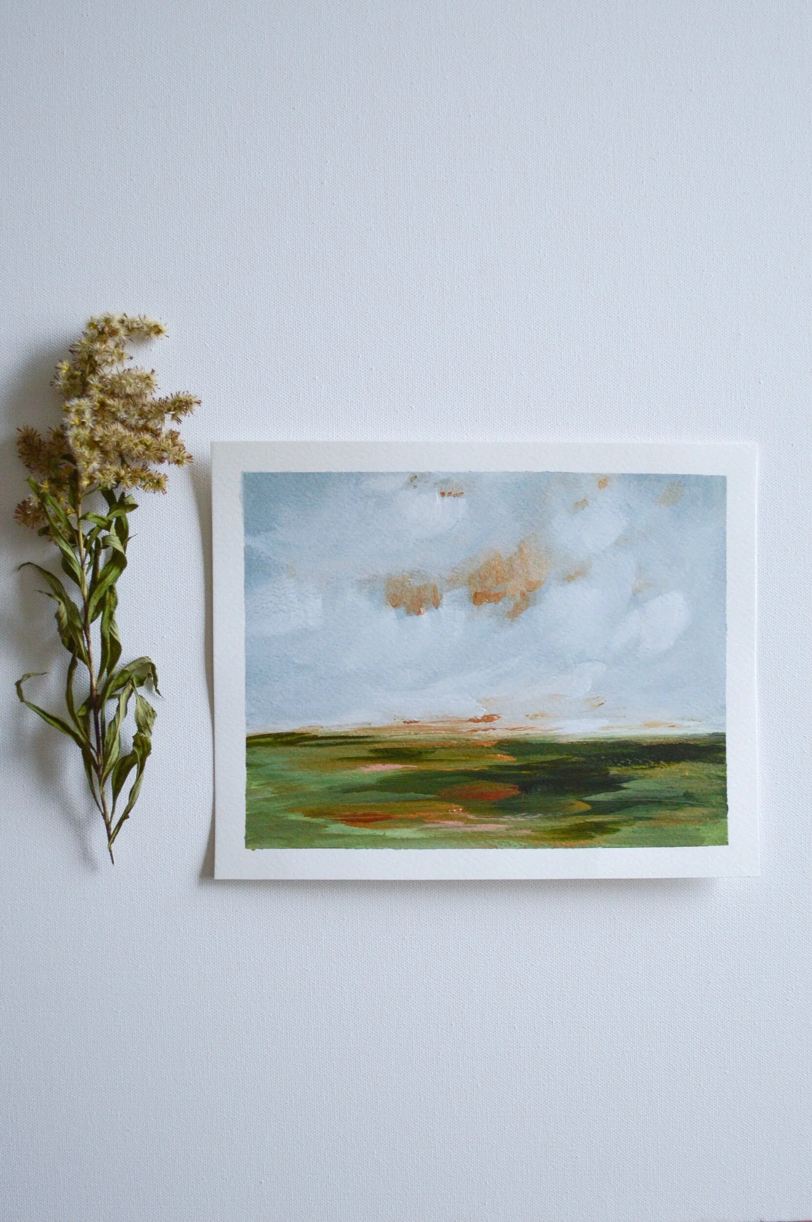 00BE26B5-022B-4EB7-B589-466E299FA32C