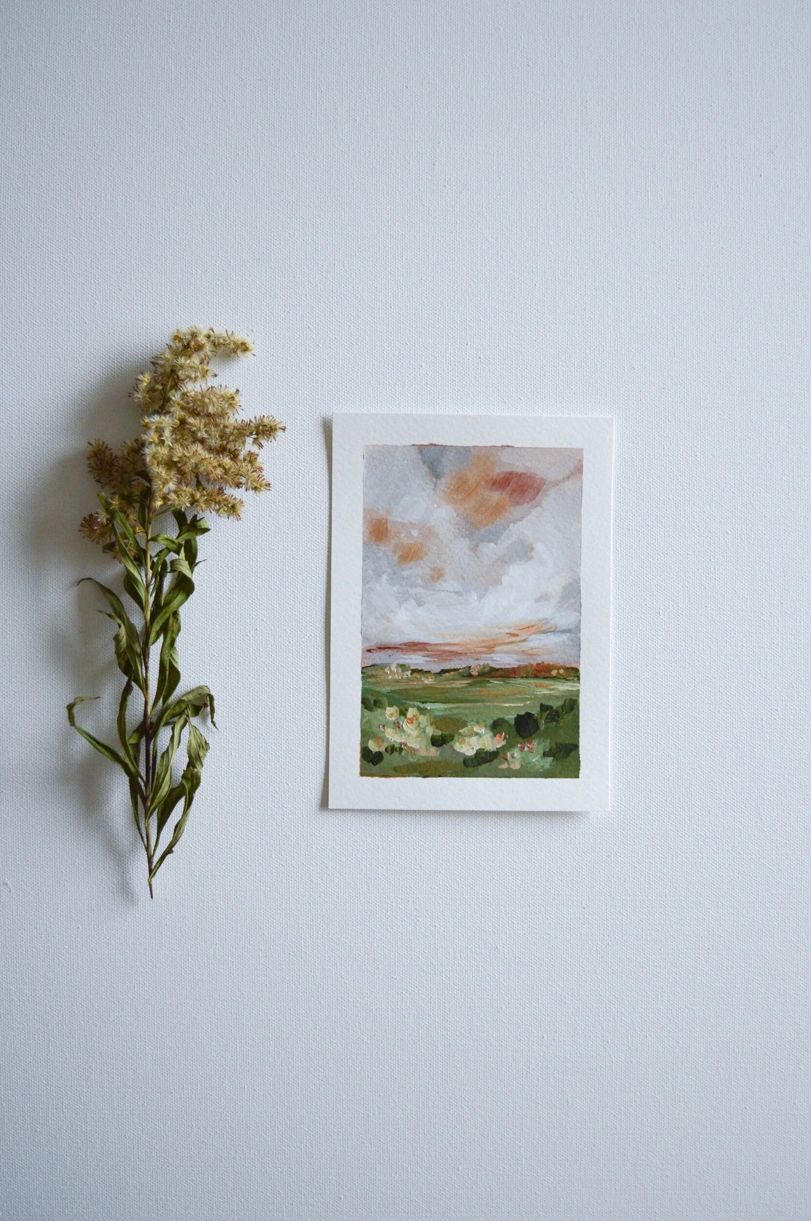 744043D8-338E-46D8-ABE2-BA5D2D77EAB2