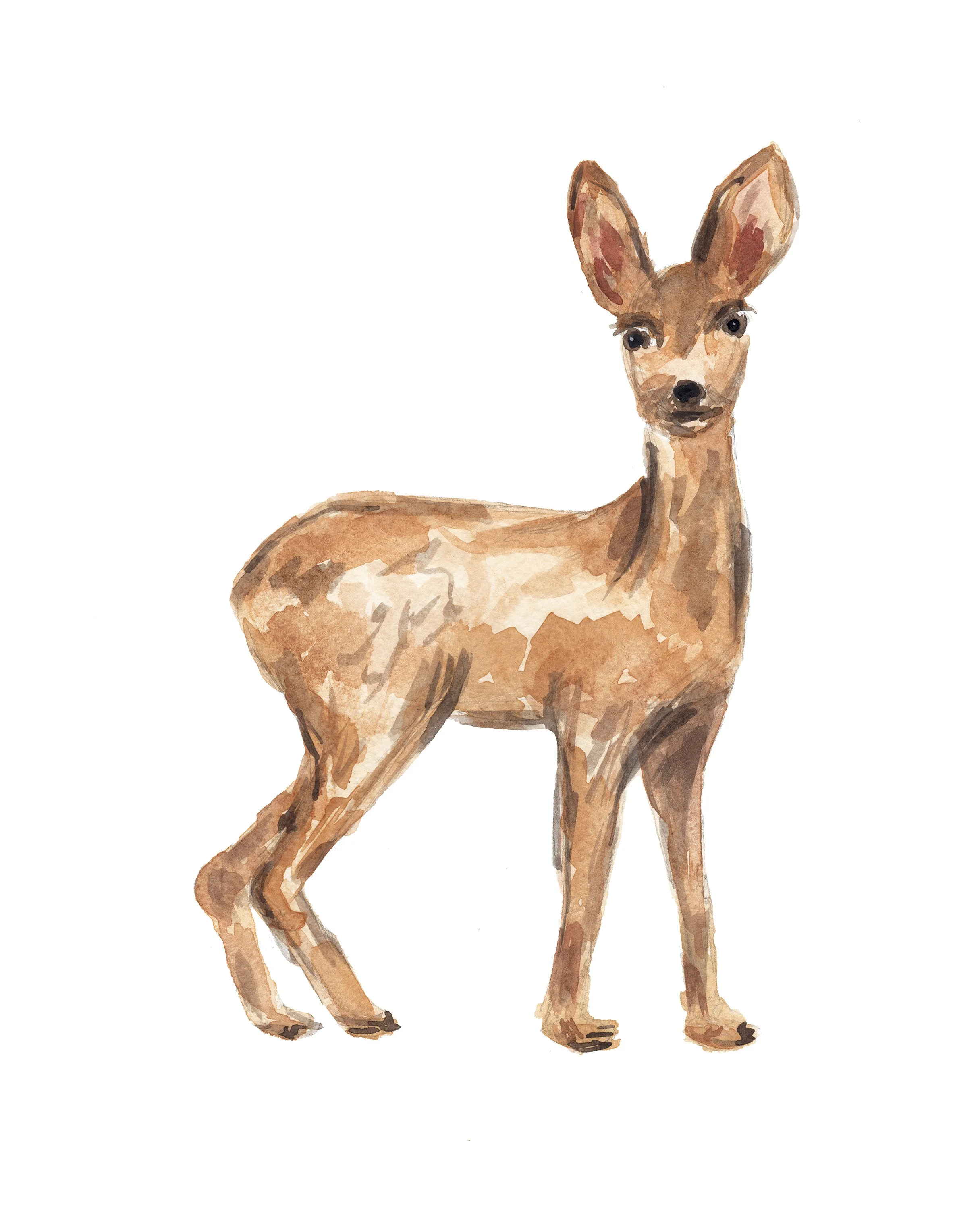 Woodland-Deer-Original-web.jpg