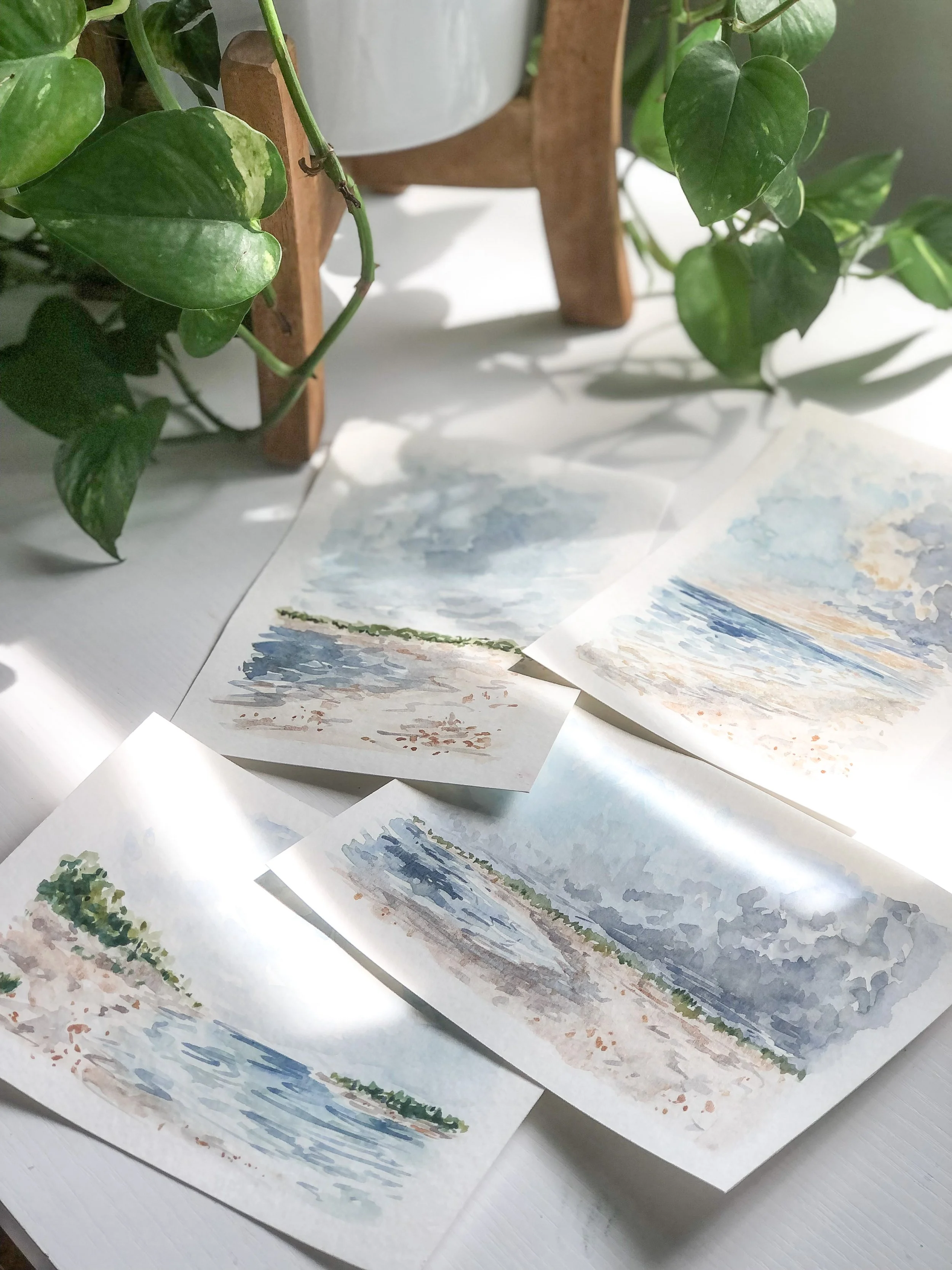 Coming Soon: Hamptons Collection!