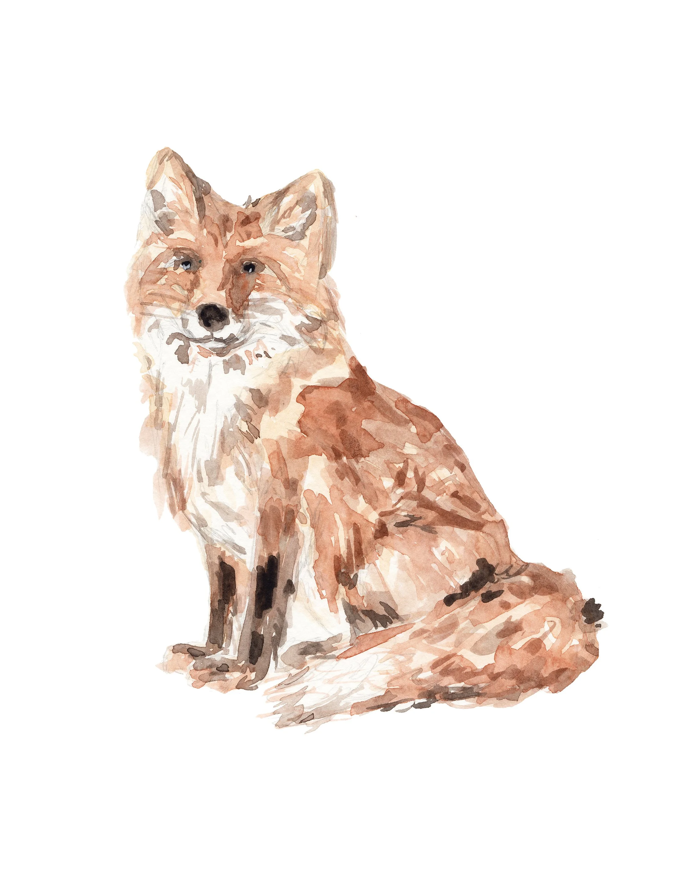 Woodland-Fox-Original-web.jpg