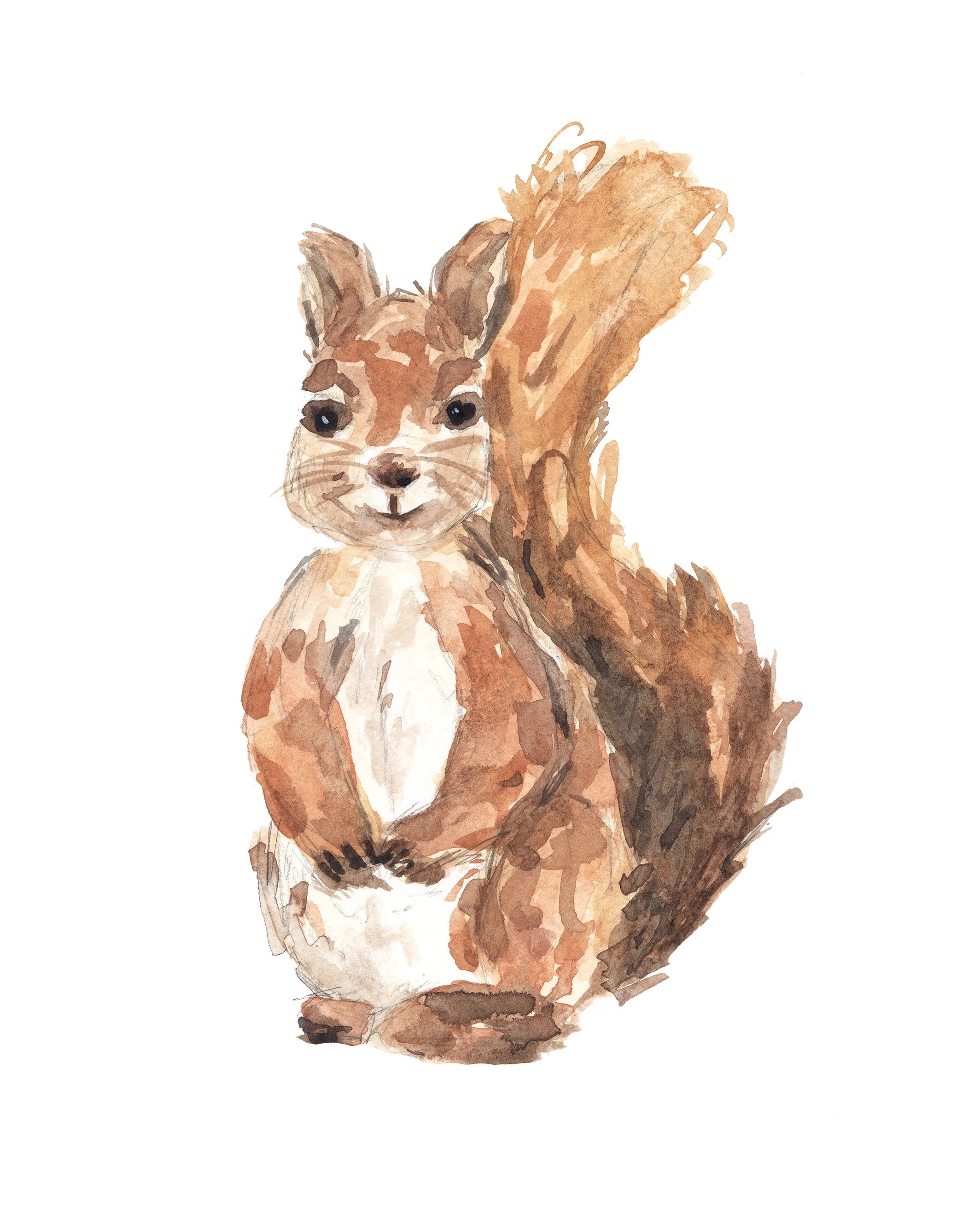Woodland-Red-Squirrel-Original-web.jpg