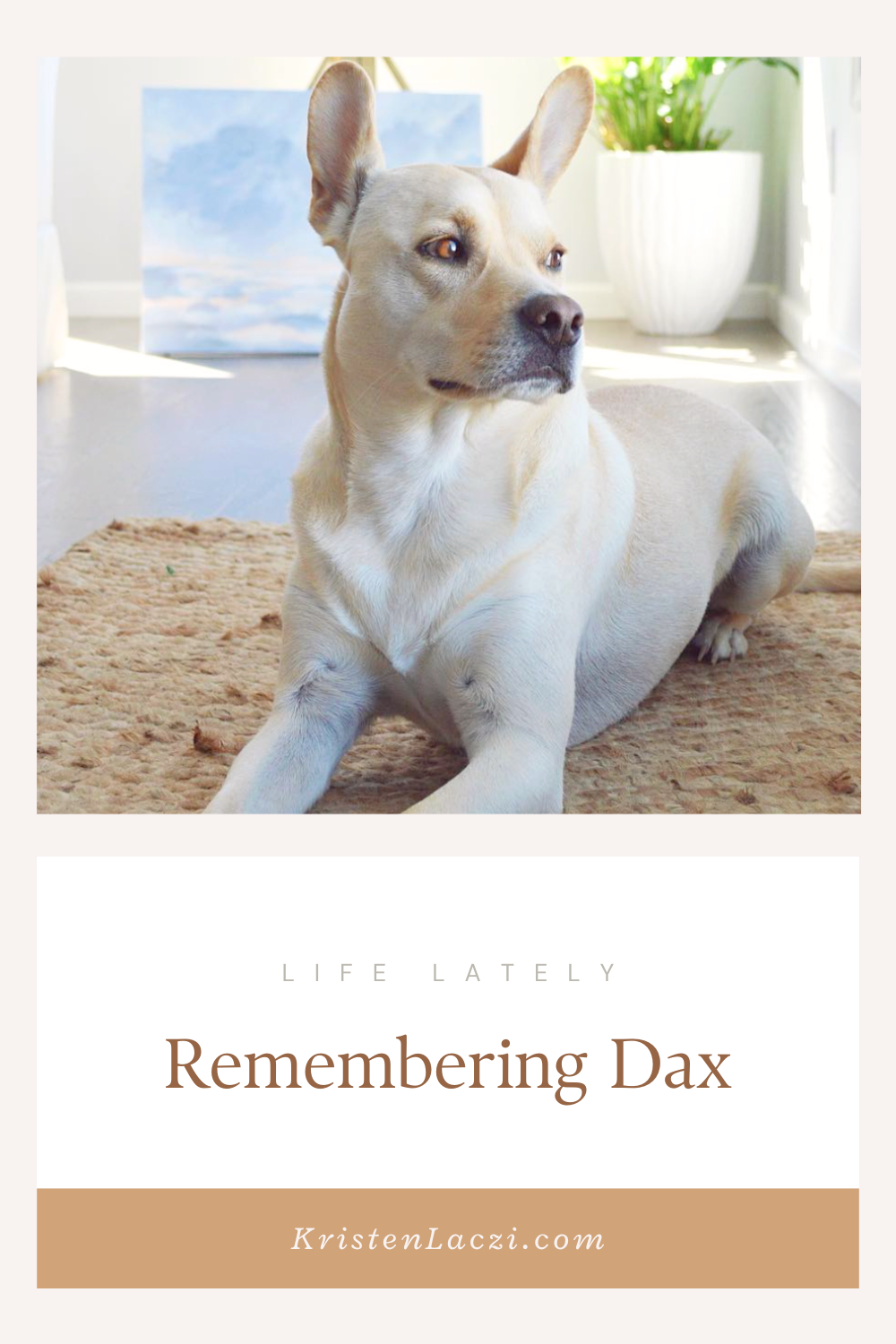 Remembering Dax