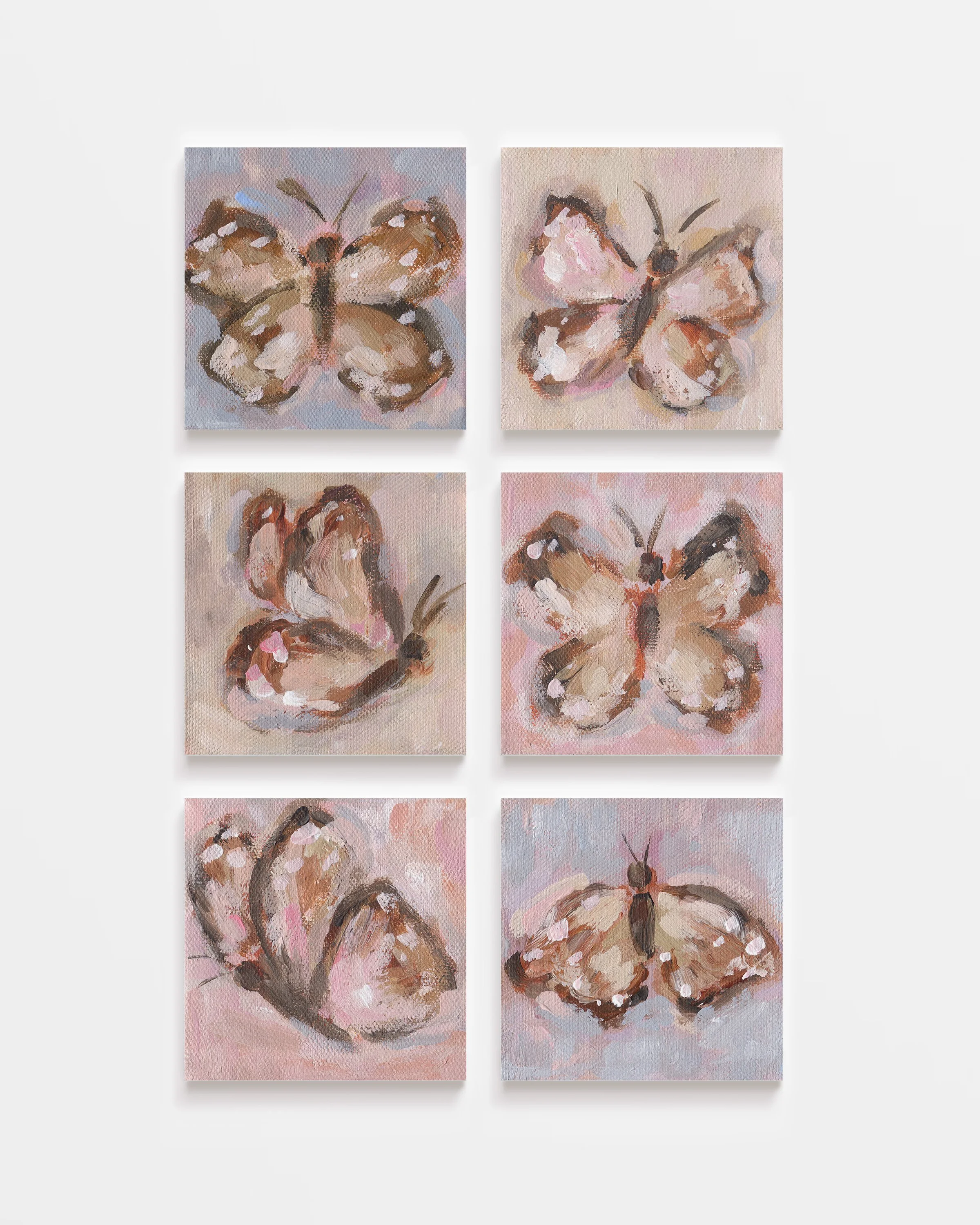 Butterflies | 4" x 4" on Canvas
