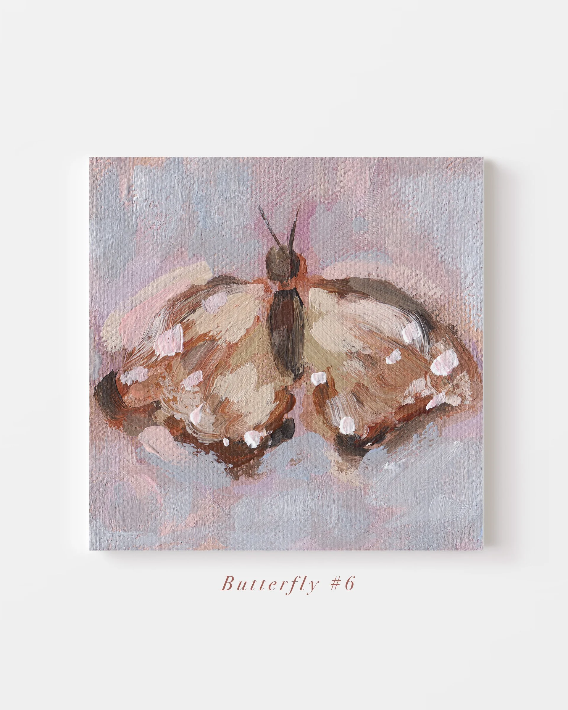 Butterfly-6.jpg