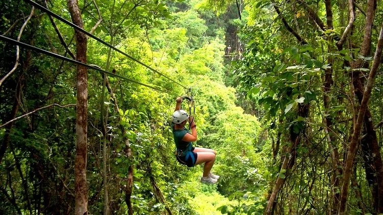 zip+line.jpg