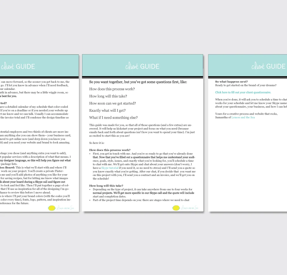 clientguide_Page_2.jpg