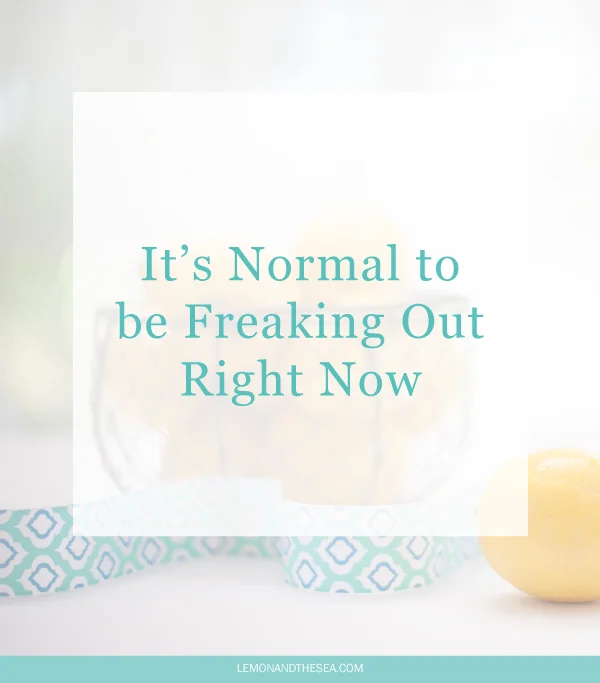Freakoff Meaning Why You Need To Know It Right Now - bp4ddd7