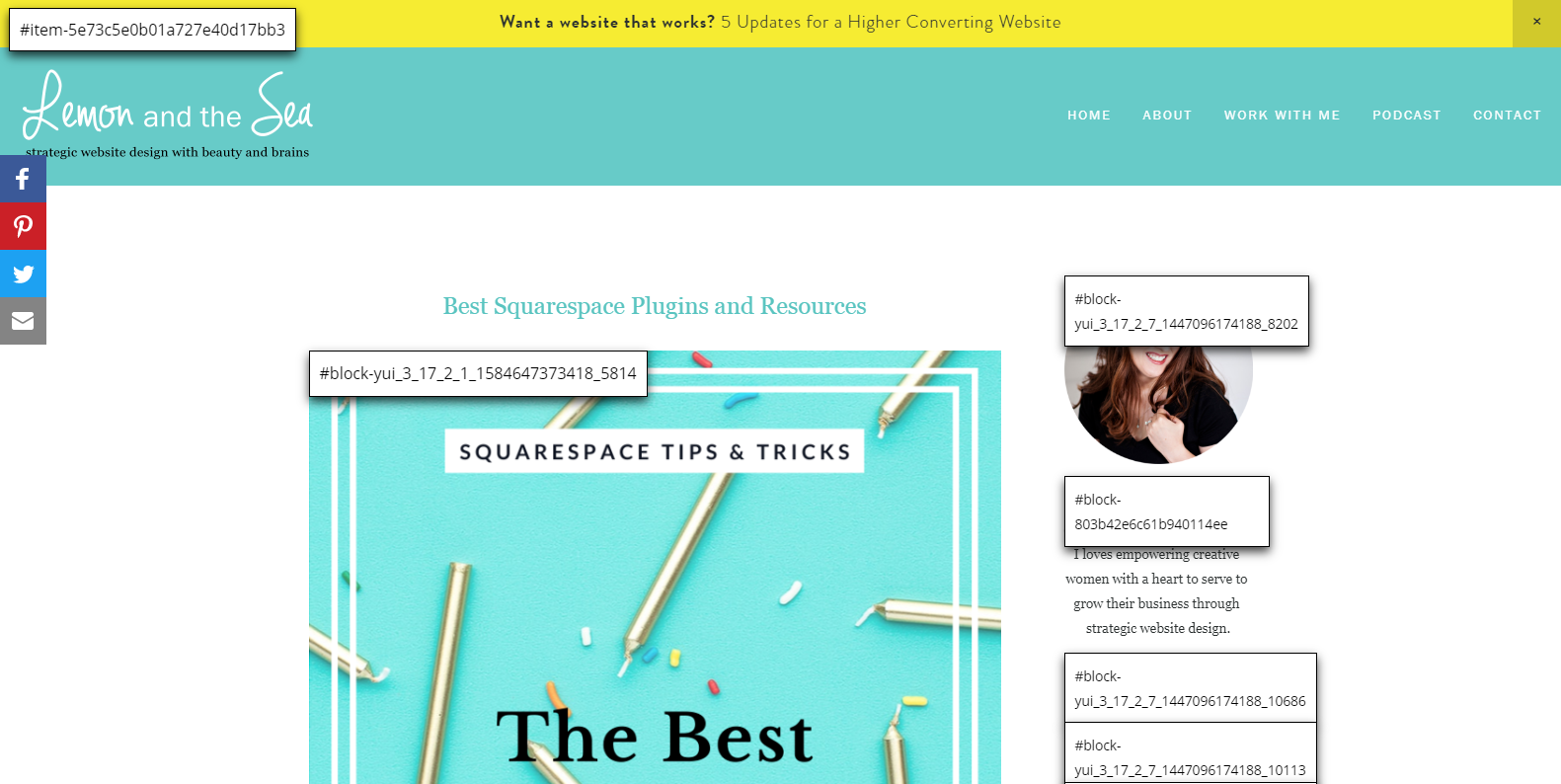 The Five Best Chrome Extensions for Squarespace Web Designers — Big Cat  Creative - Squarespace Templates & Resources