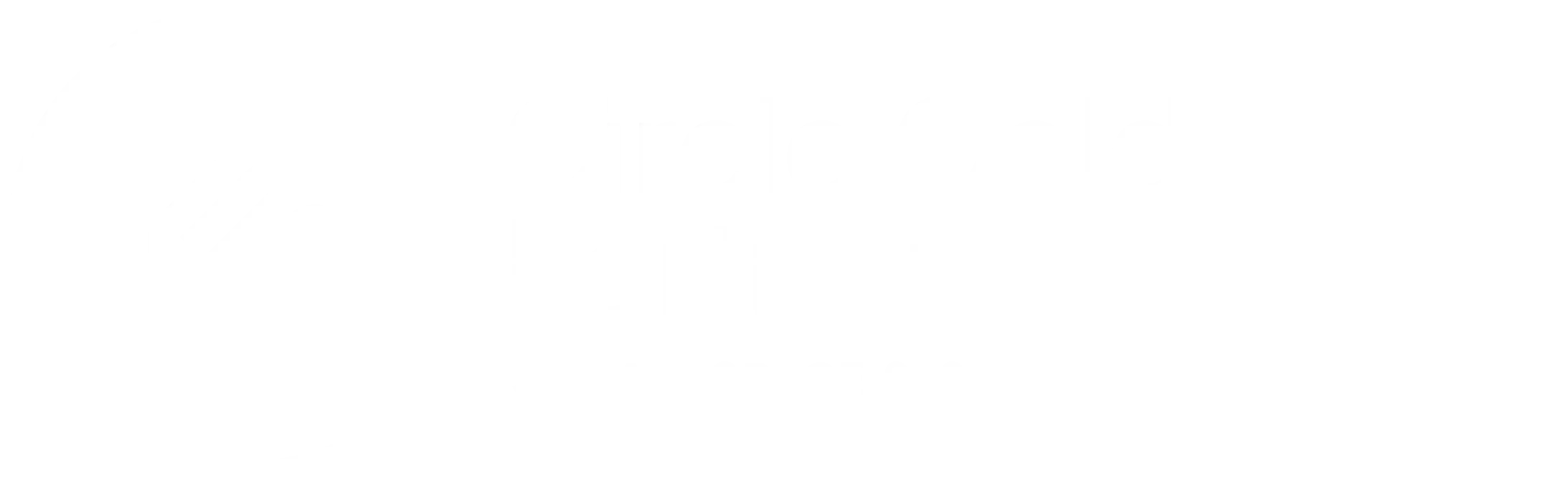 Squarespace Circle Gold Partner