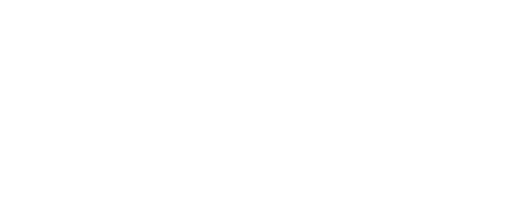 Squarespace Circle Gold Partner