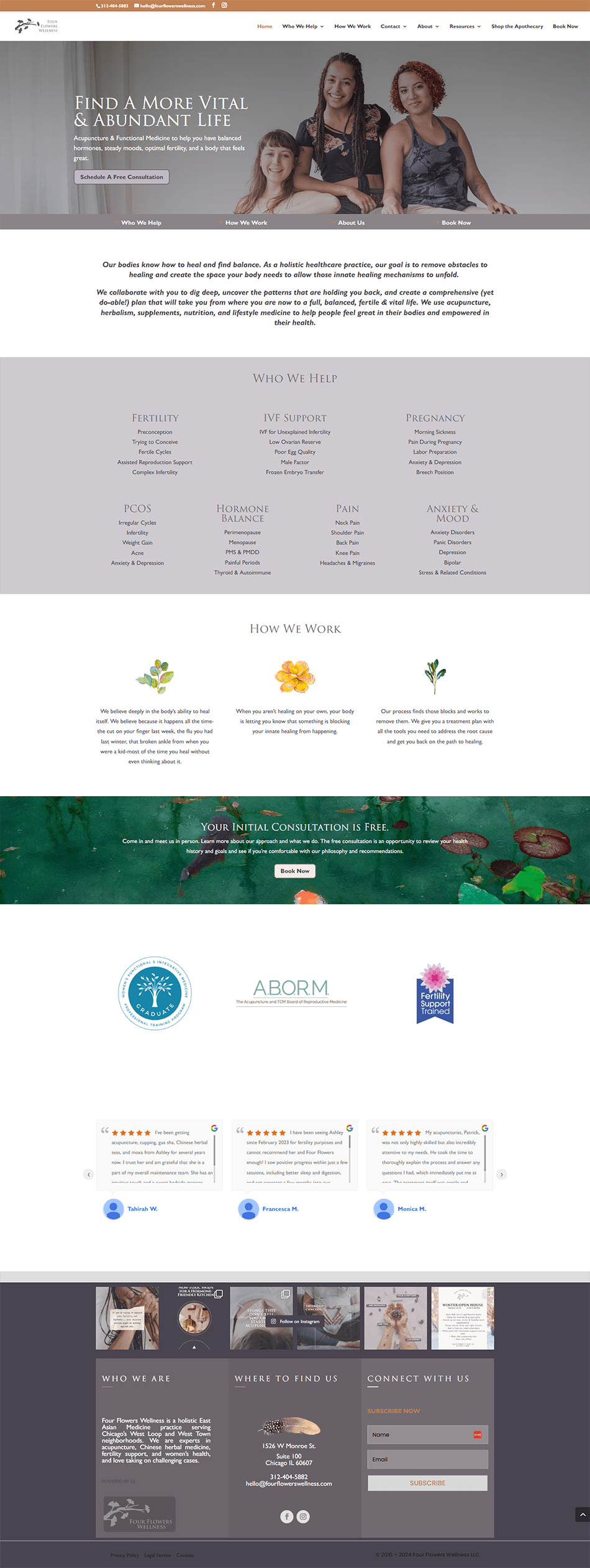 Before screenshot of outdated acupuncture and functional medicine website homepage prior to design refresh.