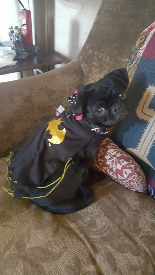 Princess Pearla as Batgirl