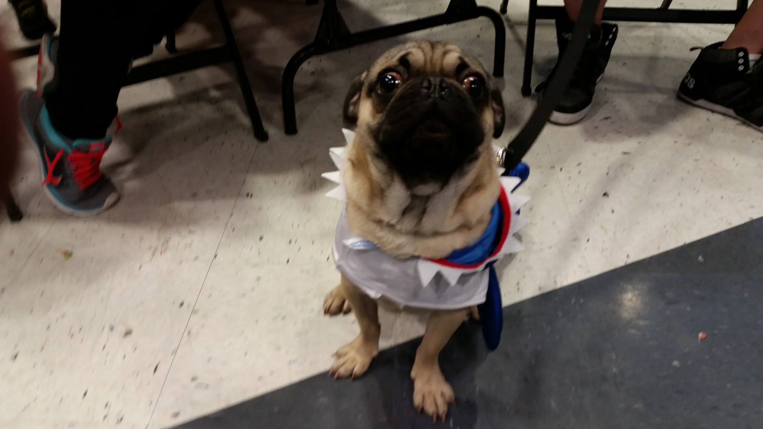 20161022_150522.jpg