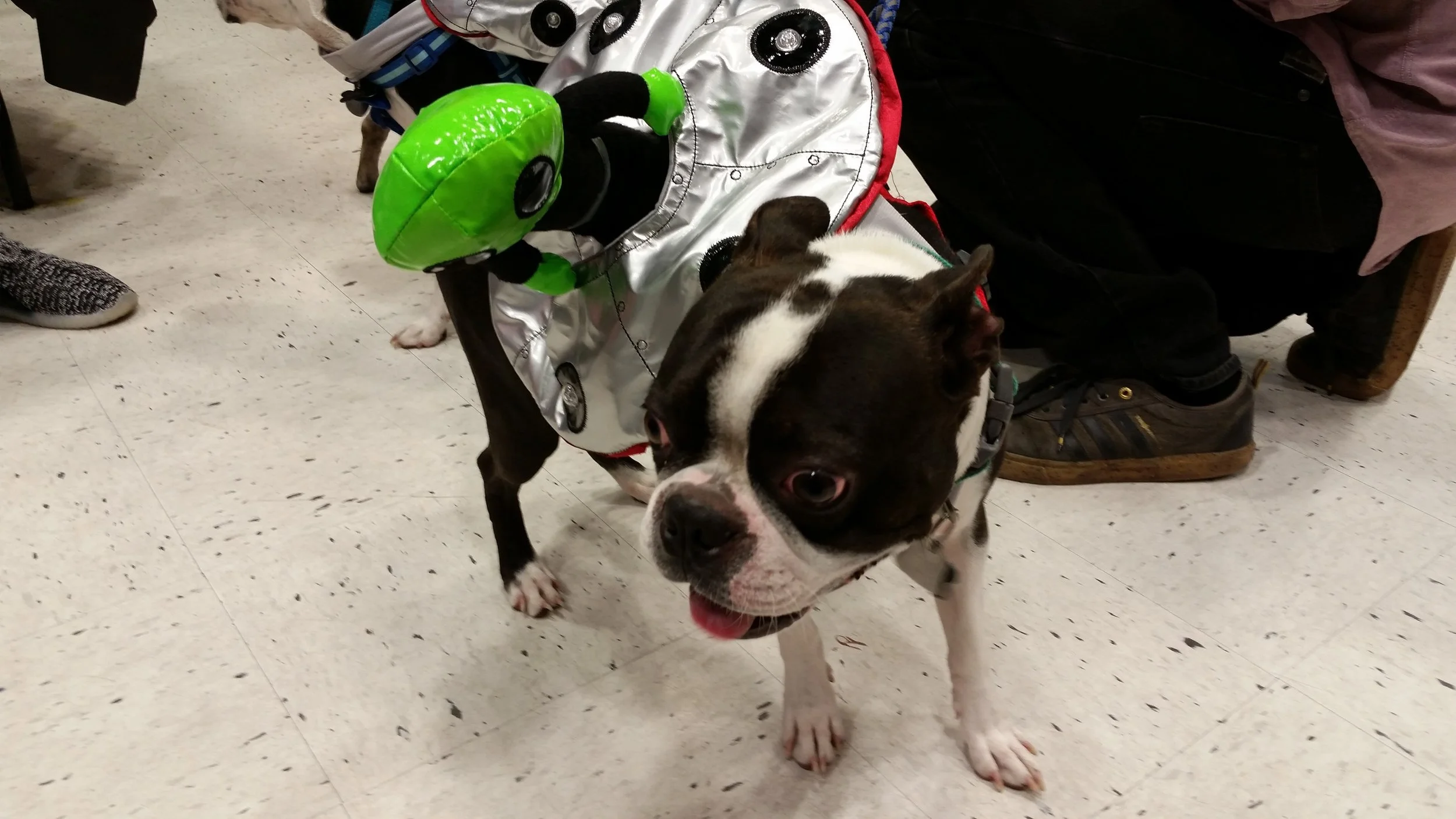 20161022_150827.jpg