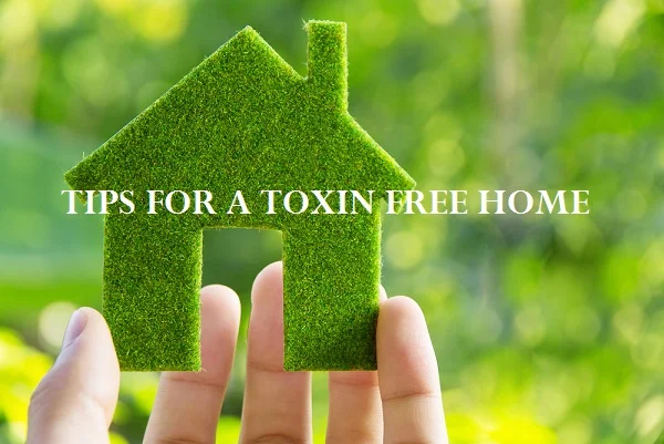 4 Simple Ways to Make Your Home More Green