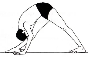 Parsvottanasana.jpg