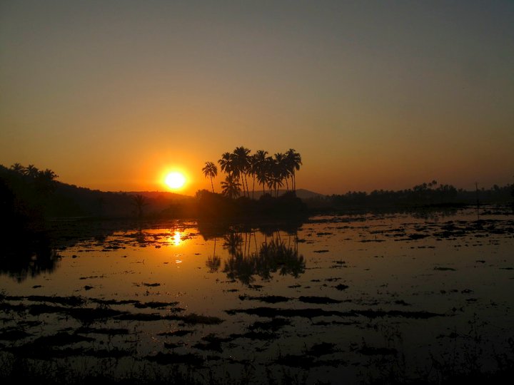 sunsets.jpg