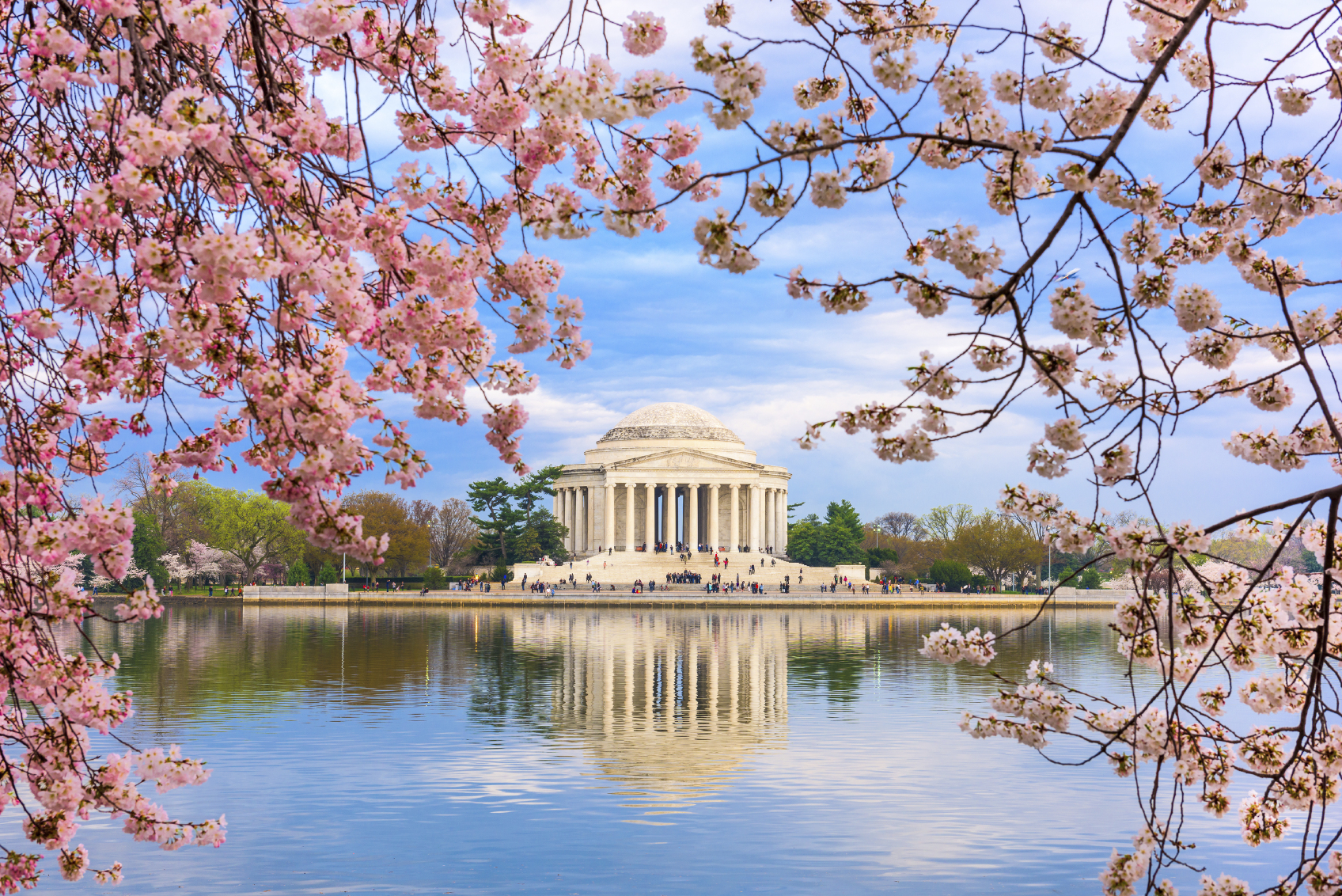 National Cherry Blossom Festival in Washington DC-2023 Events and History –  Travel and Dish