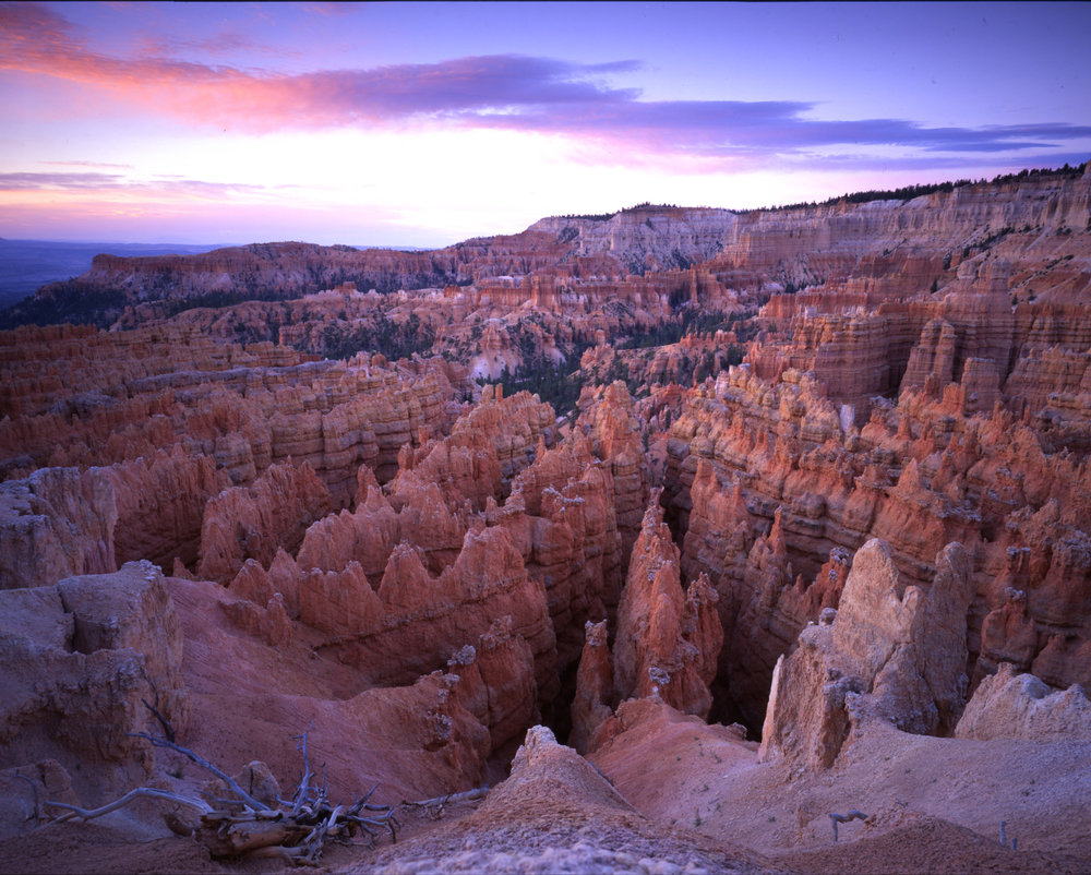 Wall Street Bryce Canyon.jpg