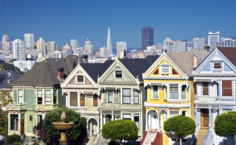 Painted Ladies vibrant.jpg