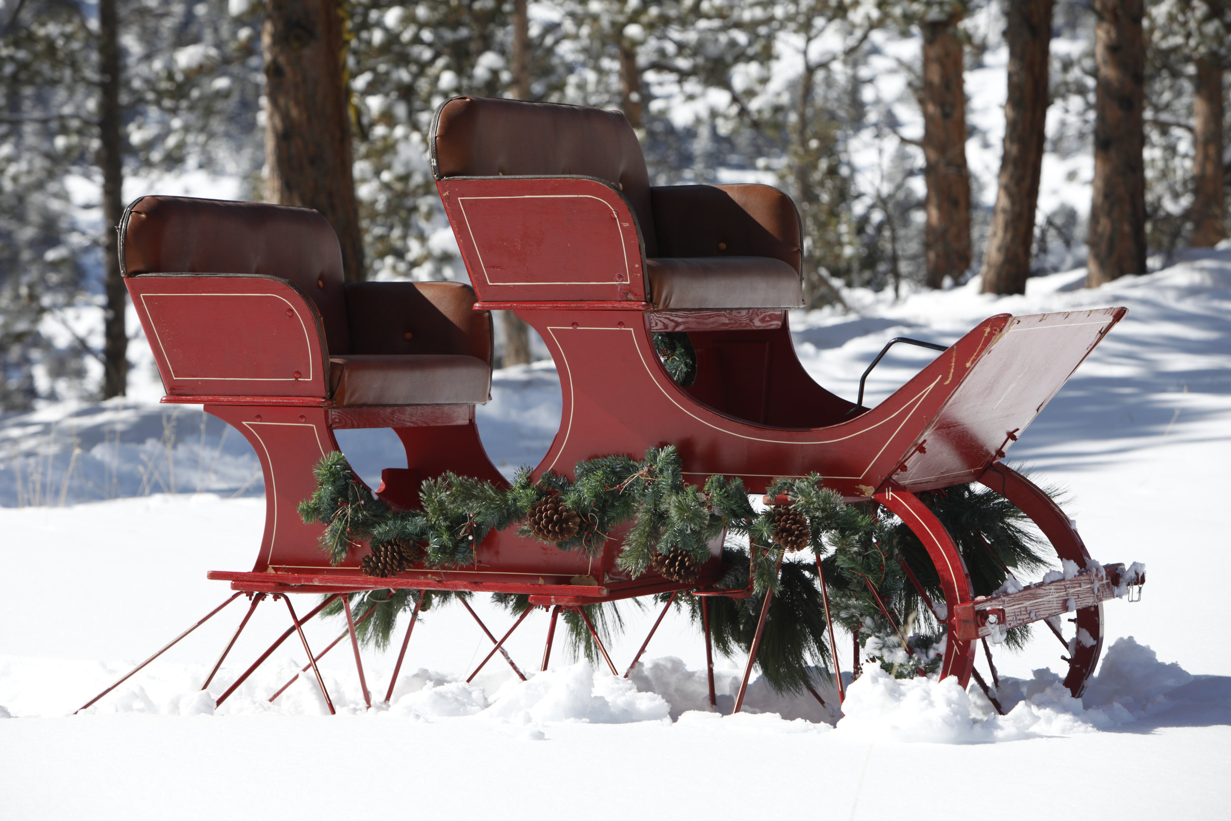 iStock_sleigh.jpg