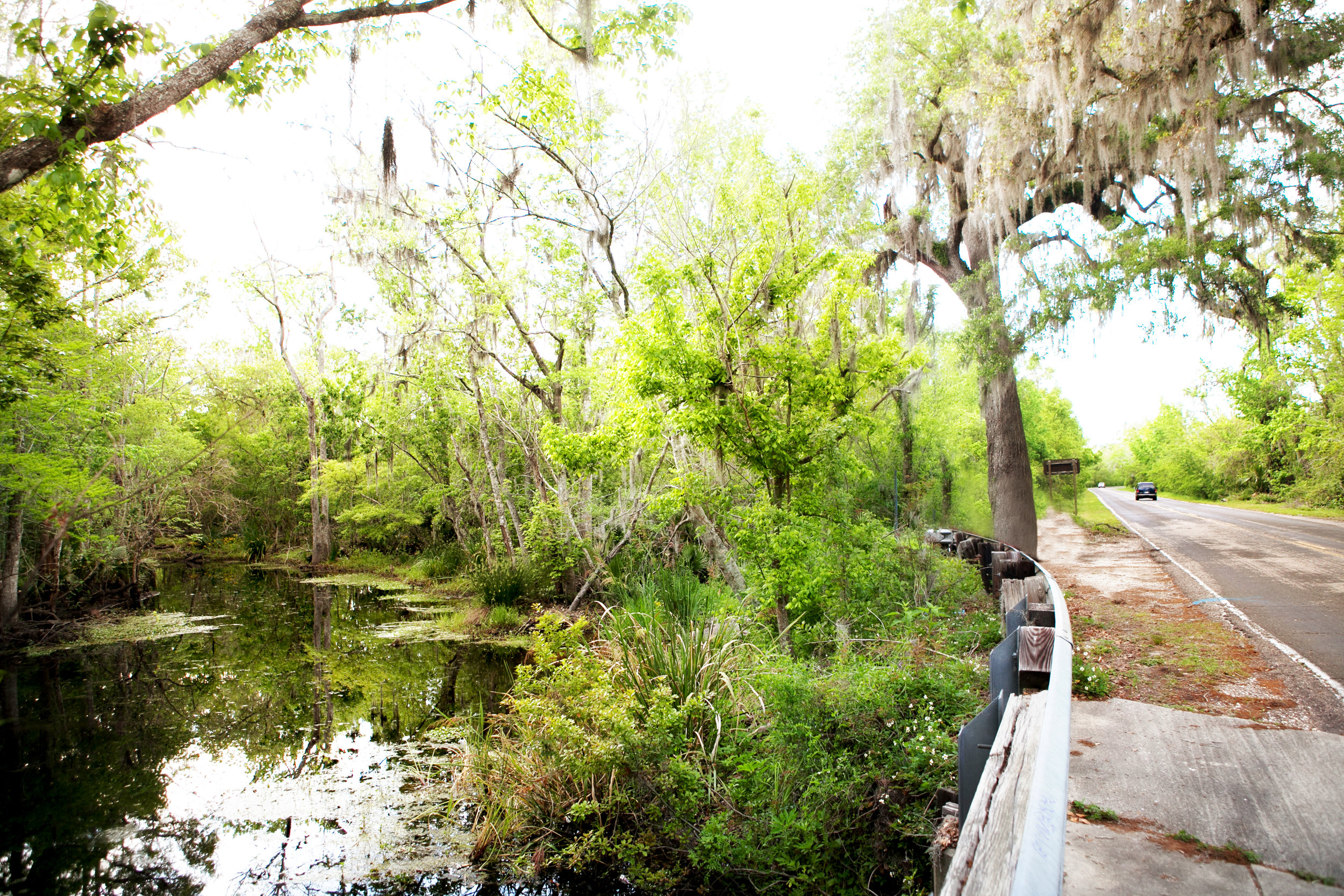 SWAMP_029_NOSC_April2013_9638_AmyBrassette_HiRes_R.jpg