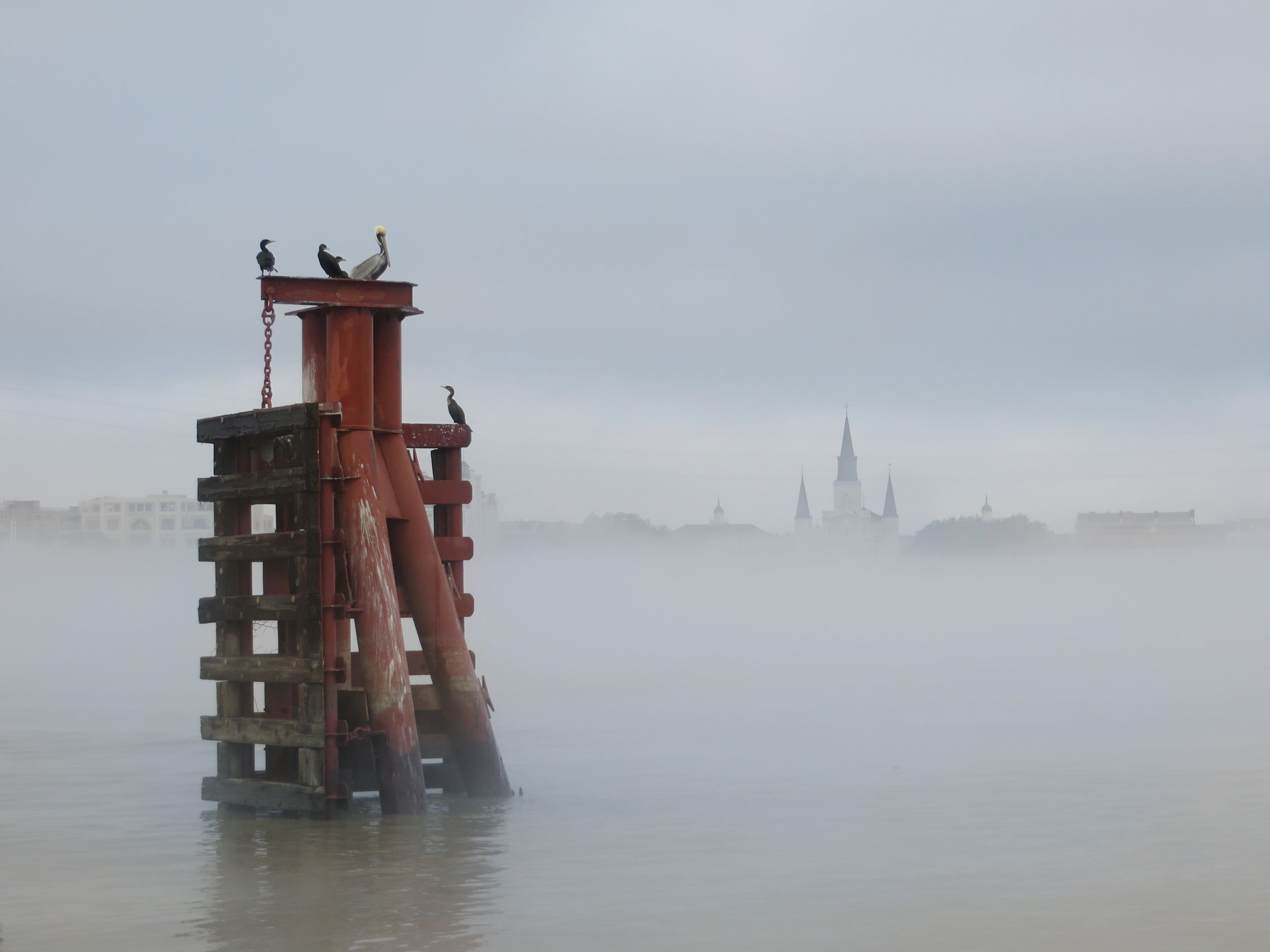 102 ABC_IO_Cathedral In Fog w Pelicans_Amyadj.jpg