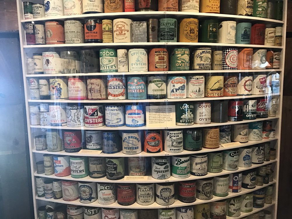 Collection of Old Oyster Cans at the Chesapeake Bay Martime Museum