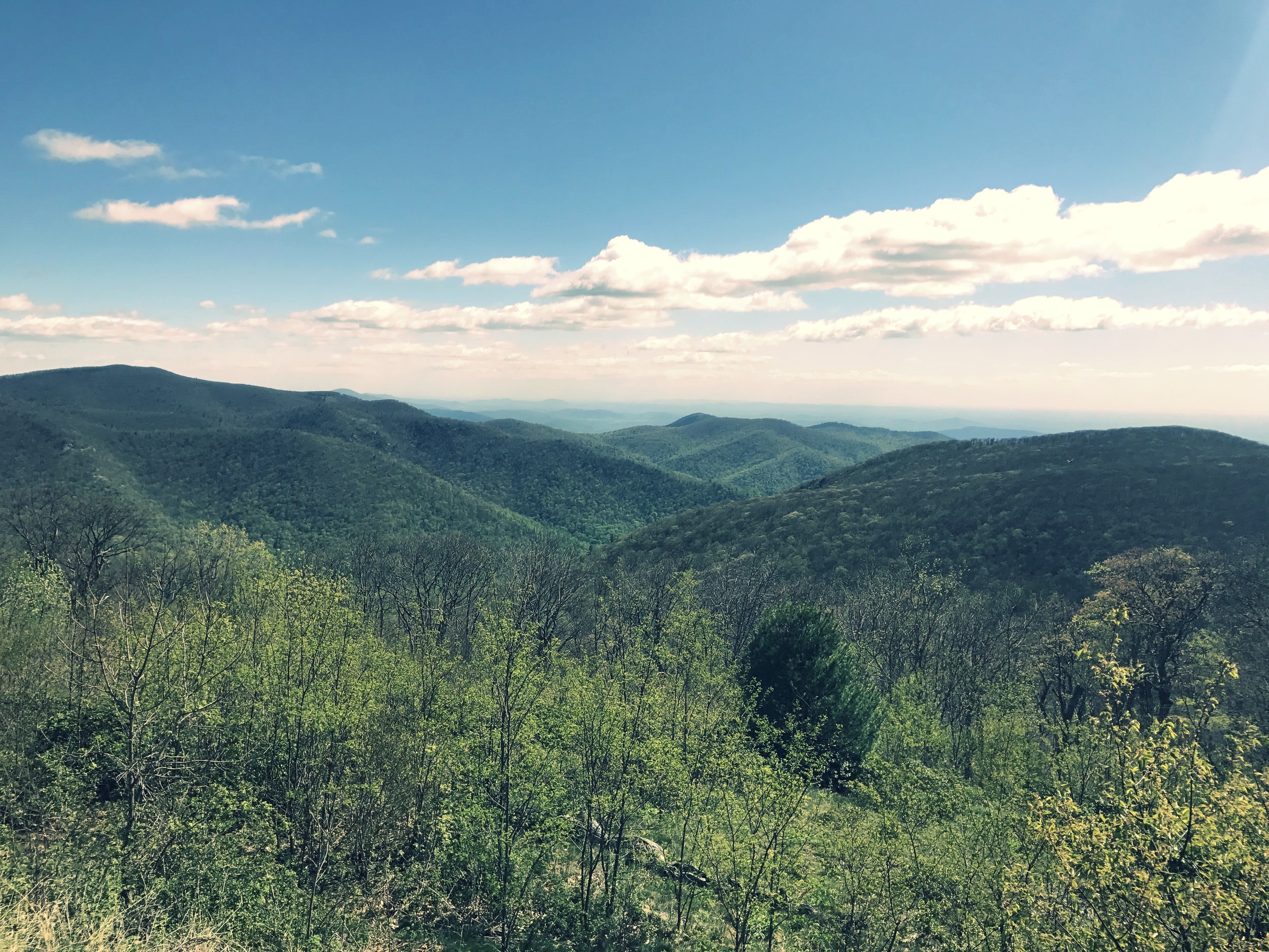 Scenic Overlook on the Skyline Drive