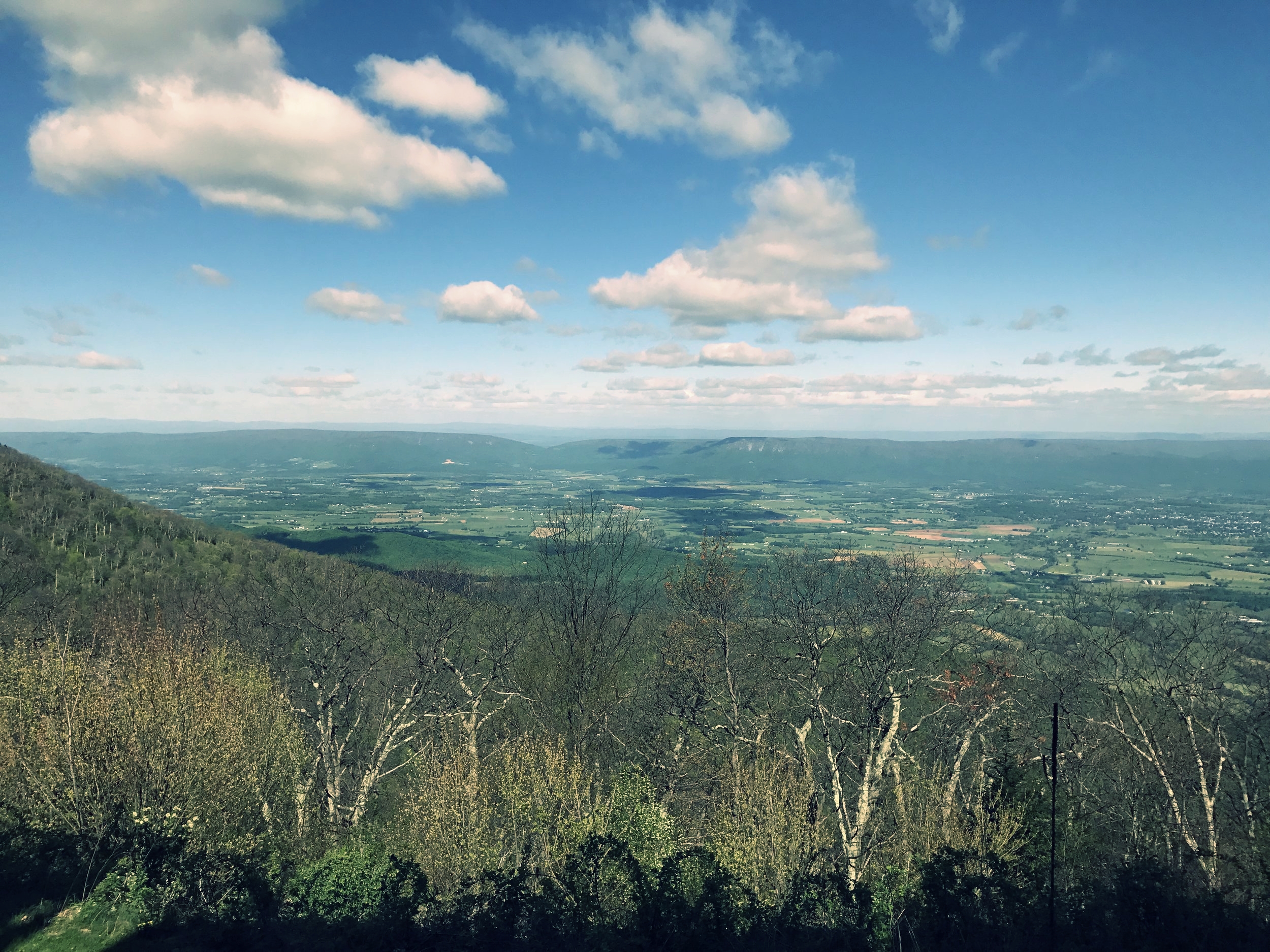 View From Our Rooms at the Skyland Lodge