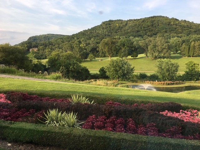 View we enjoyed during dinner at Signatures