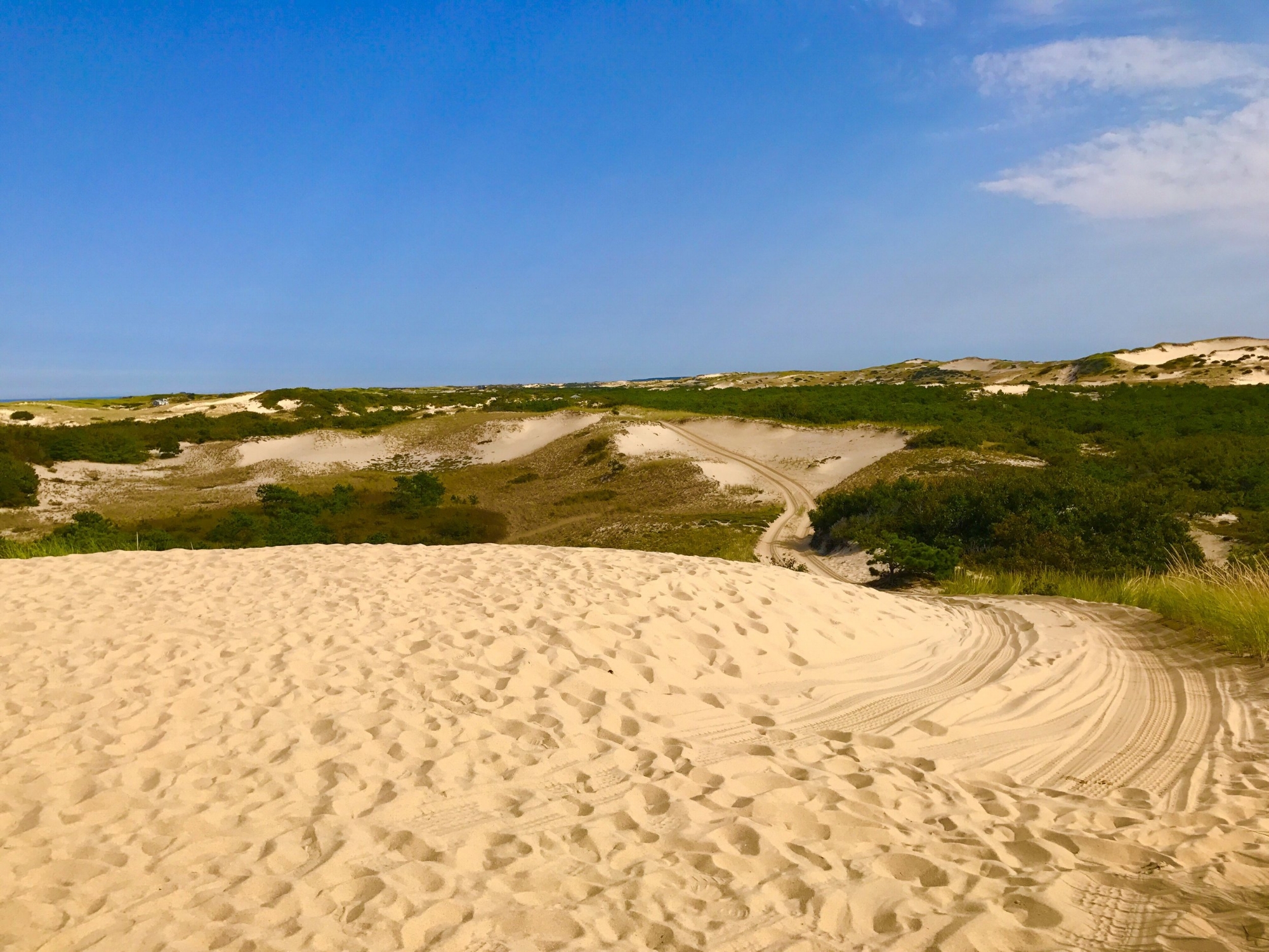 Provincetown Sand Dunes
