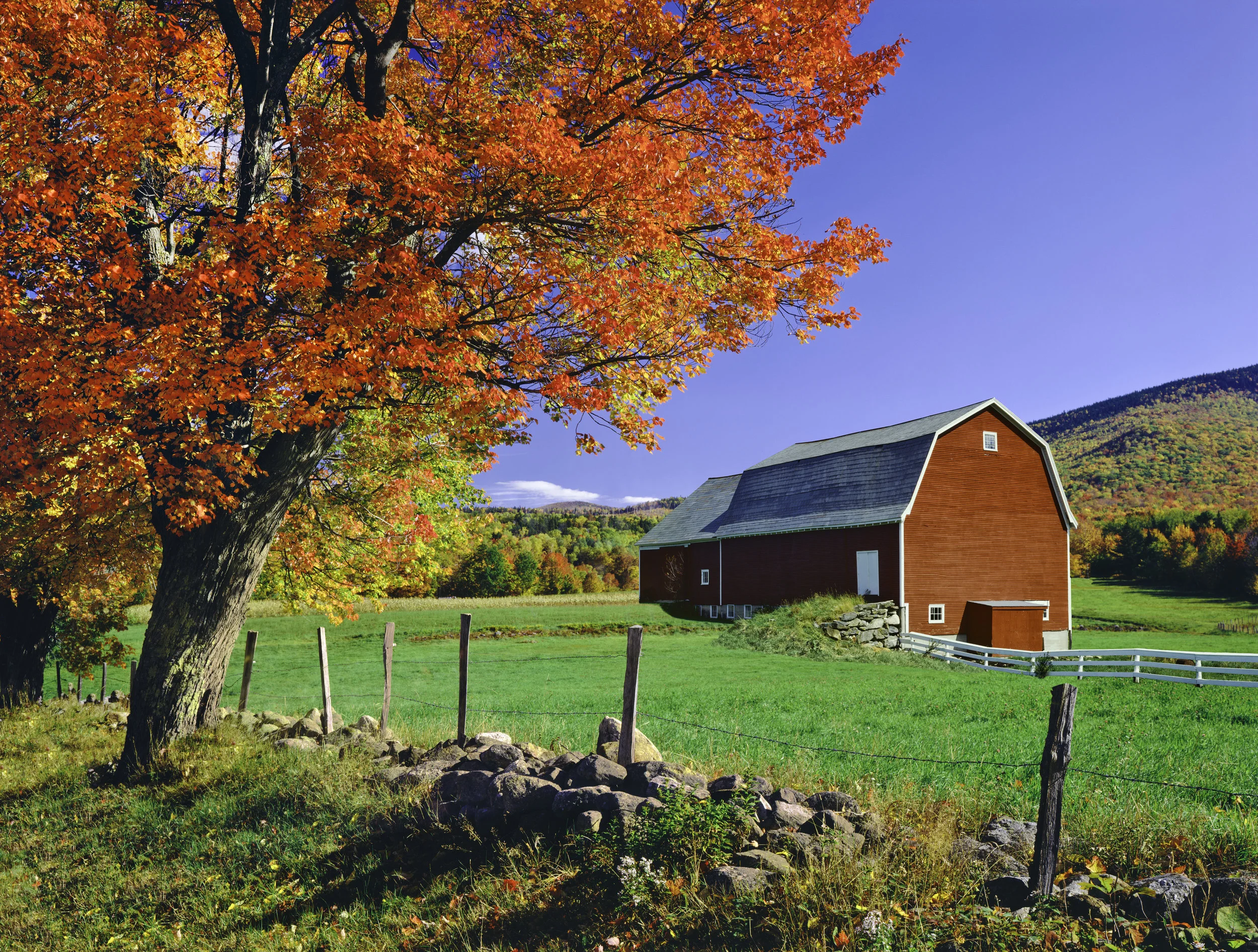 iStock-155381706.jpg